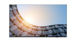 LENOVO ThinkVision E65 LFD Diagonal Class 163,83cm 64,5Zoll LED-backlit LCD display interactive 4K UHD 2160p 3840x2160 HDR